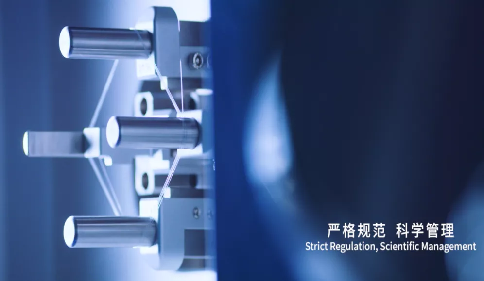 公司体系